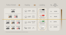 Load image into Gallery viewer, COVAP Purity of Breed Chart, Iberico Pork, Spain