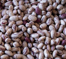 Load image into Gallery viewer, Rancho Gordo Cranberry Beans, Borlotti