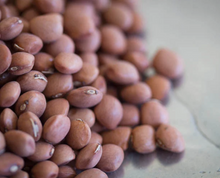 Load image into Gallery viewer, Rancho Gordo Santa Maria Beans