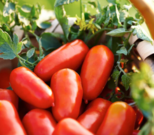 Load image into Gallery viewer, Italianavera San Marzano DOP tomatoes