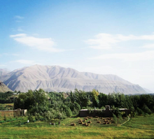 Load image into Gallery viewer, Burlap & Barrel Wild Mountain Whole Cumin, Afghanistan