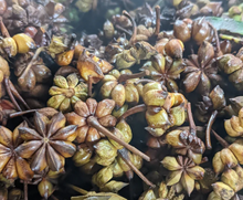 Load image into Gallery viewer, Spice Whole Smoked Star Anise (Lang Son, Vietnam) - Jar
