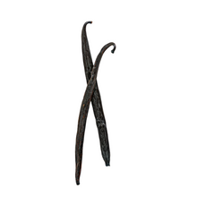 Load image into Gallery viewer, Burlap & Barrel Vanilla Pods
