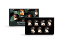 Load image into Gallery viewer, Cluizel (France) 7 Chocolate Caramel Mushrooms in box