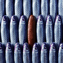 Load image into Gallery viewer, Cluizel chocolate sardines whole.