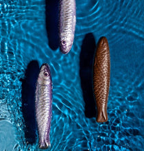 Load image into Gallery viewer, Cluizel dark chocolate sardines.