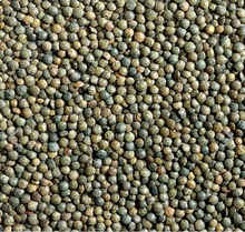 Load image into Gallery viewer, Sabarot Le Puy French Green Lentils Bulk
