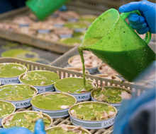 Load image into Gallery viewer, Round tin of La Curiosa tuna ventresca in pesto sauce, Spain.