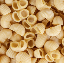 Load image into Gallery viewer, Mancini Pasta estate grown semolina pasta, Lumache Rigate