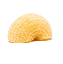 Load image into Gallery viewer, Mancini Pasta estate grown Italian semolina pasta Lumache Rigate