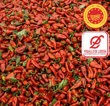 Load image into Gallery viewer, Piquillo Peppers de Lodosa PDO (Spain) - Can