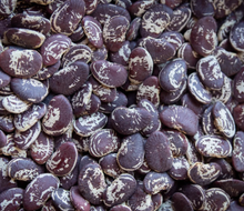 Load image into Gallery viewer, Rancho Gordo Christmas Lima Beans