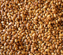 Load image into Gallery viewer, Rancho Gordo Buckeye Bean aka Yellow Indian Woman Heirloom beans.