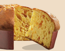 Load image into Gallery viewer, Filippe Lemon and White Chocolate Panettone