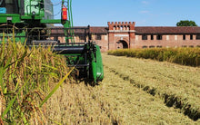 Load image into Gallery viewer, Rice harvest at Acquerello in Italy with green tractor, and mill in the background