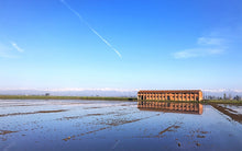 Load image into Gallery viewer, Rice Estate Acquerello in Italy with flooded fields in the foreground