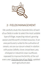 Load image into Gallery viewer, Mancini Step 2 Fields Management