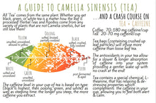 Load image into Gallery viewer, Tea Hive Guide to Tea