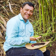 Load image into Gallery viewer, Burlap & Barrel Cloud Forest Cardamom Farmer