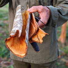Load image into Gallery viewer, Burlap & Barrel Royal Cinnamon bark in hands of farmer