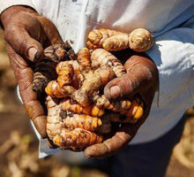 Load image into Gallery viewer, Spice New Harvest Turmeric (India) - Jar