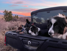 Load image into Gallery viewer, Wagyu Short Ribs Local Pasture 100% Fullblood (Frozen) - various