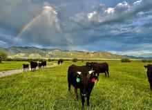 Load image into Gallery viewer, Wagyu Ground Beef Local Pasture 100% Fullblood (Frozen) - 1 lb