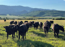 Load image into Gallery viewer, Wagyu Flatiron Local Pasture 100% Fullblood (Frozen) - various