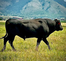 Load image into Gallery viewer, Wagyu Ground Beef Local Pasture 100% Fullblood (Frozen) - 1 lb