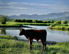 Load image into Gallery viewer, Wagyu Ground Beef Local Pasture 100% Fullblood (Frozen) - 1 lb