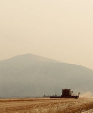 Load image into Gallery viewer, Hillside Grain harvest on a hazy day, with mountain in the background.