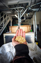 Load image into Gallery viewer, Fresh grain in hand, at the mill of Hillside Grain in Idaho.