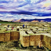 Load image into Gallery viewer, Hillside Grain Harvested and Baled.  Purple storm like clouds and mountains in background.