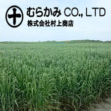 Load image into Gallery viewer, Okinawan Crushed Brown Sugar from Hateruma Island (Japan) - Bag