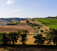 Load image into Gallery viewer, Mancini Pasta Farm  and Factory in Italy