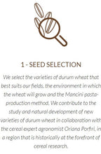 Load image into Gallery viewer, Mancini Step 1 Seed Selection