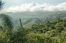 Load image into Gallery viewer, Cluizel chocolate's Los Anconnes plantation.