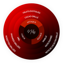 Load image into Gallery viewer, Cluizel chocolate flavor wheel for organic 75% Mokaya.