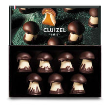 Load image into Gallery viewer, Cluizel (France) Chocolate Caramel Mushrooms in box.