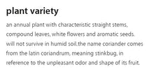 Load image into Gallery viewer, Plant variety of Mieli Thun's coriander honey.
