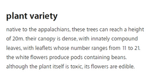 Load image into Gallery viewer, Description of Plant Variety, Acacia - Mieli Thun honey.