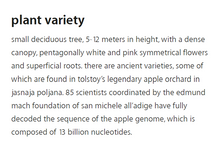 Load image into Gallery viewer, Plant Variety of Mieli Thun's apple blossom honey.