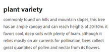 Load image into Gallery viewer, Plant Variety of Mieli Thun's chestnut honey.