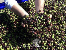Load image into Gallery viewer, Petrazzuoli Olives Fresh Italy