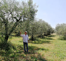 Load image into Gallery viewer, Petrazzuoli In the Olive Orchard Italy