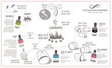 Load image into Gallery viewer, Chart of San Giacomo Cooked Vinegars