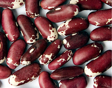 Load image into Gallery viewer, Heirloom Trout Beans Zursun