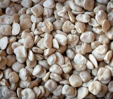 Load image into Gallery viewer, Heirloom Cicerchia Beans (Italy) Dried
