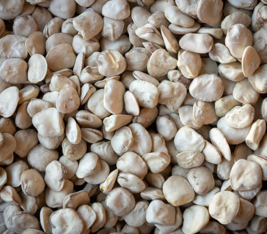 Heirloom Cicerchia Beans (Italy) Dried
