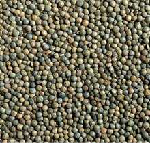 Load image into Gallery viewer, Le Puy AOP French Green Lentils (France) Dried - Box
